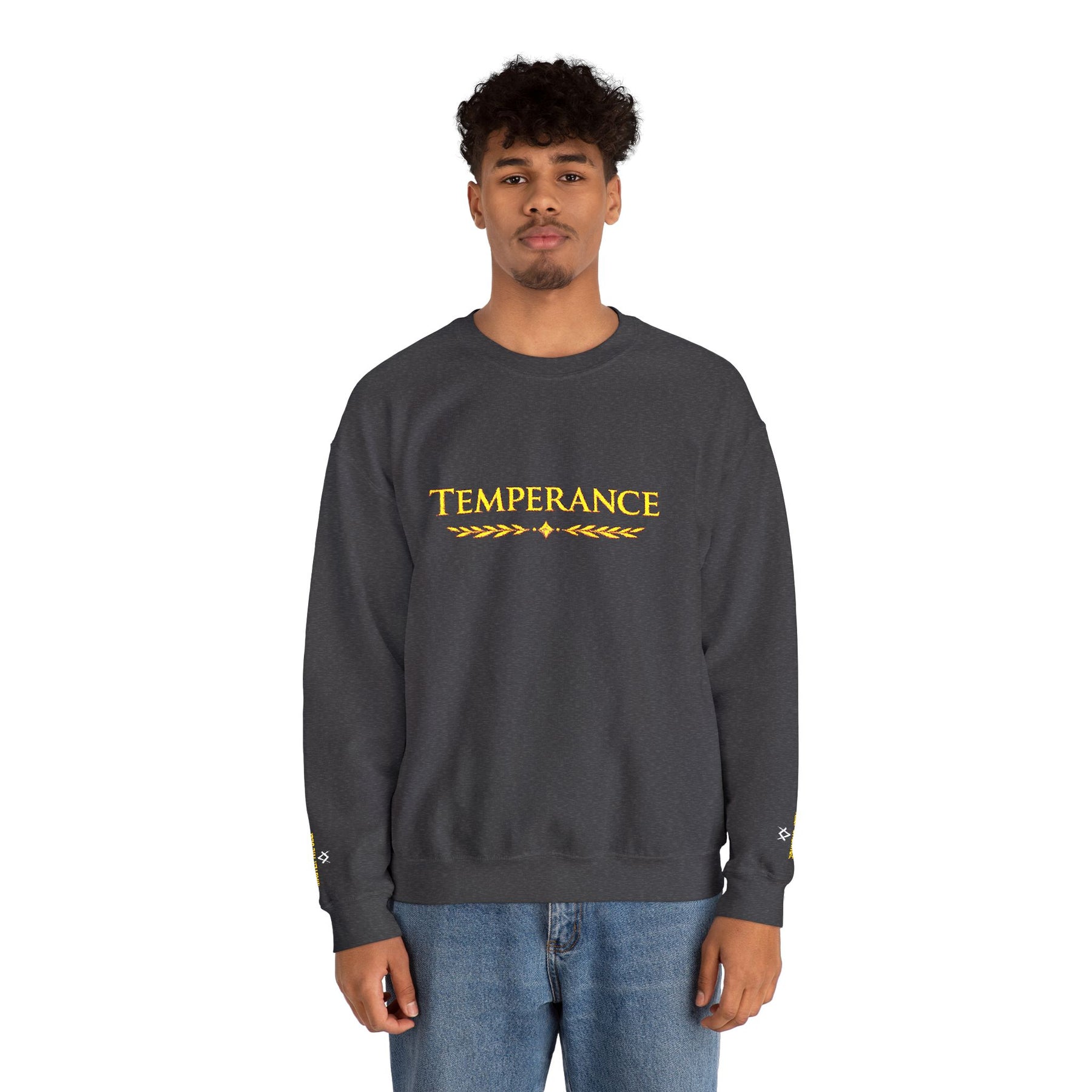 Entered Apprentice Blue Lodge Sweatshirt - Square & Compass Temperance Keep Balance - Bricks Masons