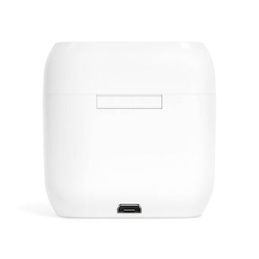 32nd Degree Scottish Rite Earbud - Wings Down White - Bricks Masons