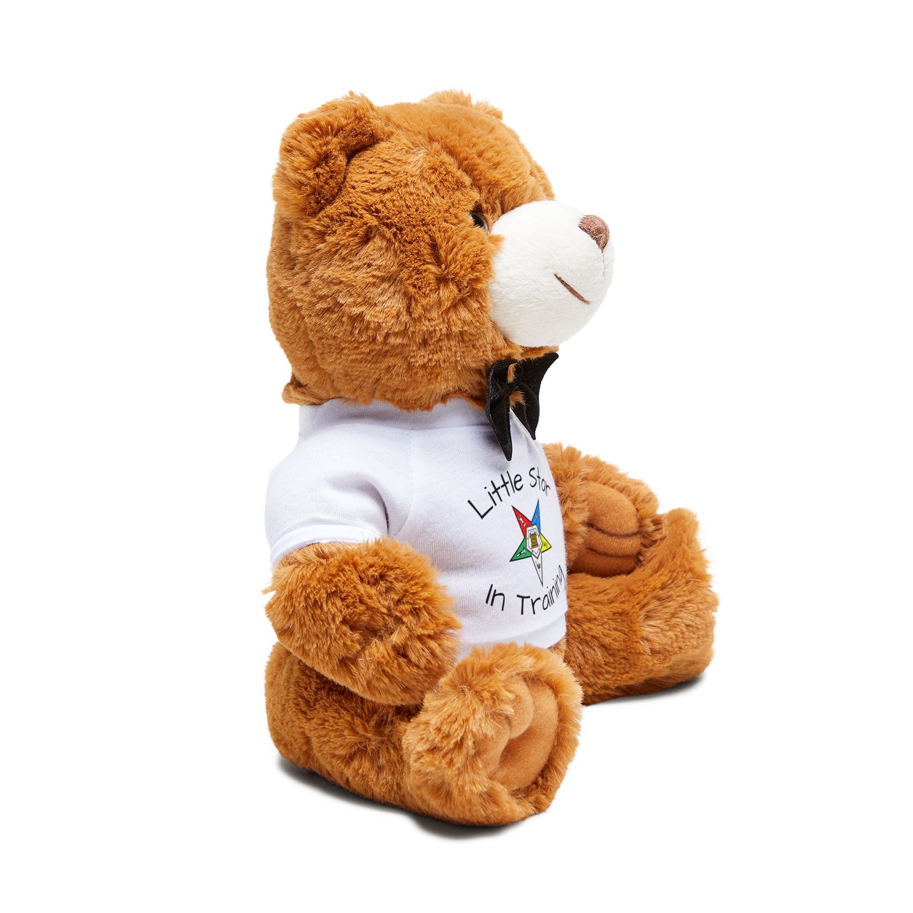 OES Teddy Bear - Little Star In Training Plushie - Bricks Masons