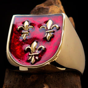 Knights Templar Commandery Ring - Red Knight Fleur De Lis Cross Brass